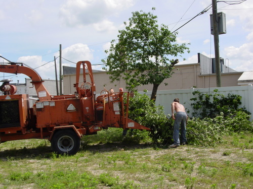 ./Gallery/2011 Bennet Lot Tree Removal/DSC06459.JPG